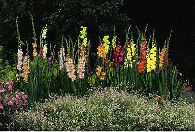 《符文工房4特别版》Xbox成就列表公布 共38个成就